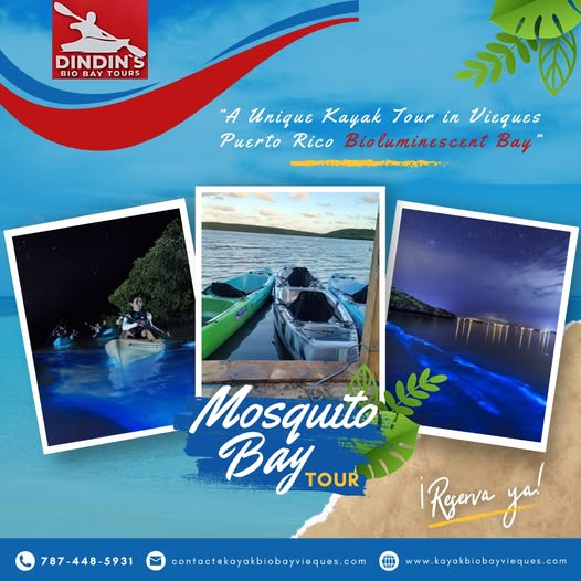 468461967_122144775500342950_1524866595644980870_n